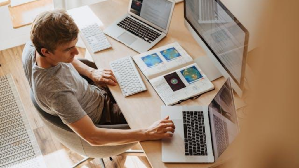 A professional software developer